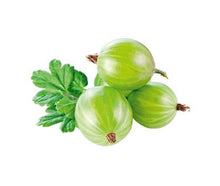 Load image into Gallery viewer, Fresh Gooseberries