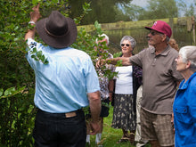 Load image into Gallery viewer, Orchard Tour