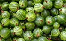 Load image into Gallery viewer, Fresh Gooseberries
